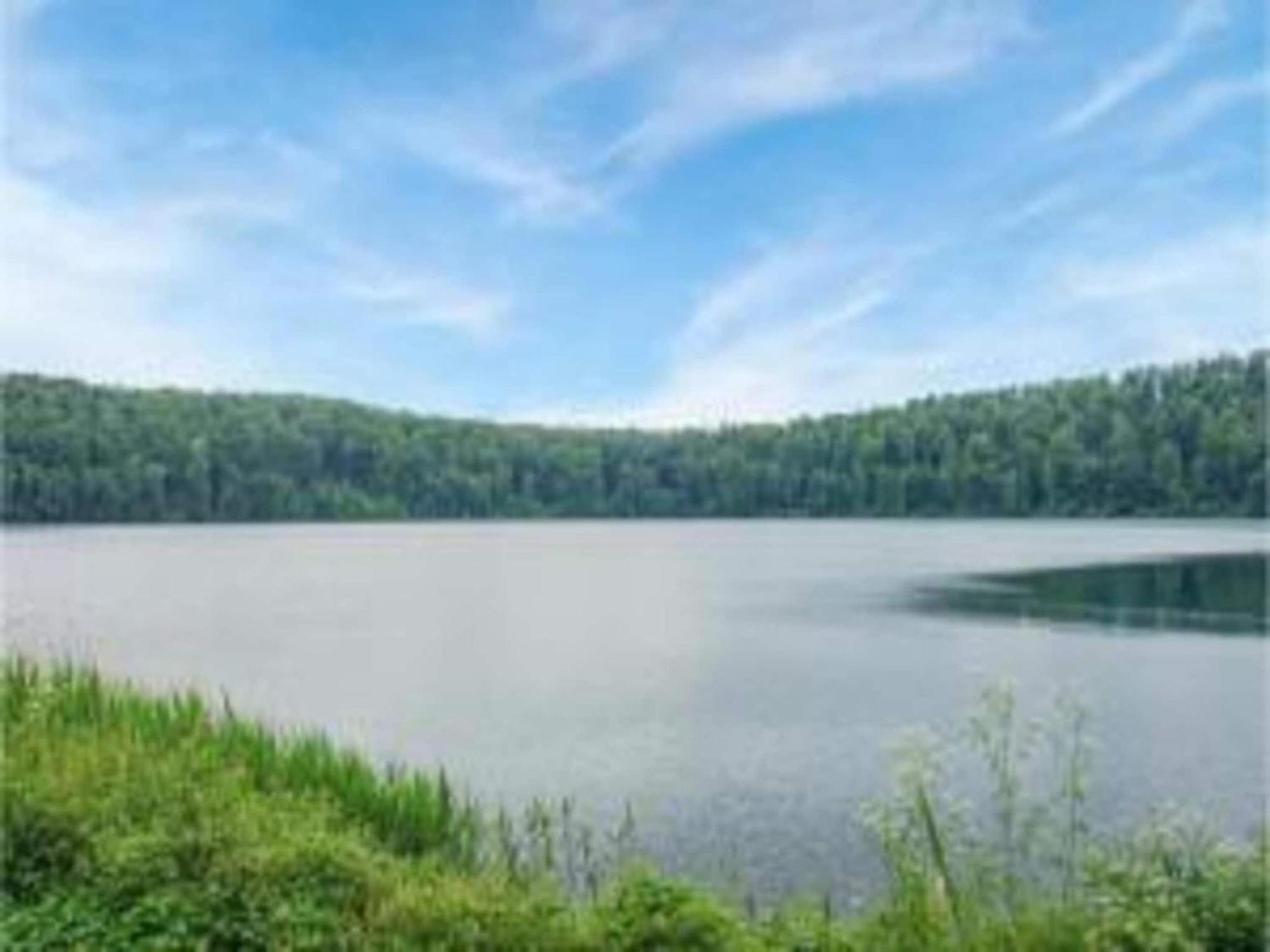 Cosy Holiday Home In Strotzb Sch With Sauna Strotzbusch Bagian luar foto